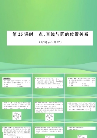 中考数学复习 第7章 圆 第25课时 点、直线与圆的位置关系(精练)课件