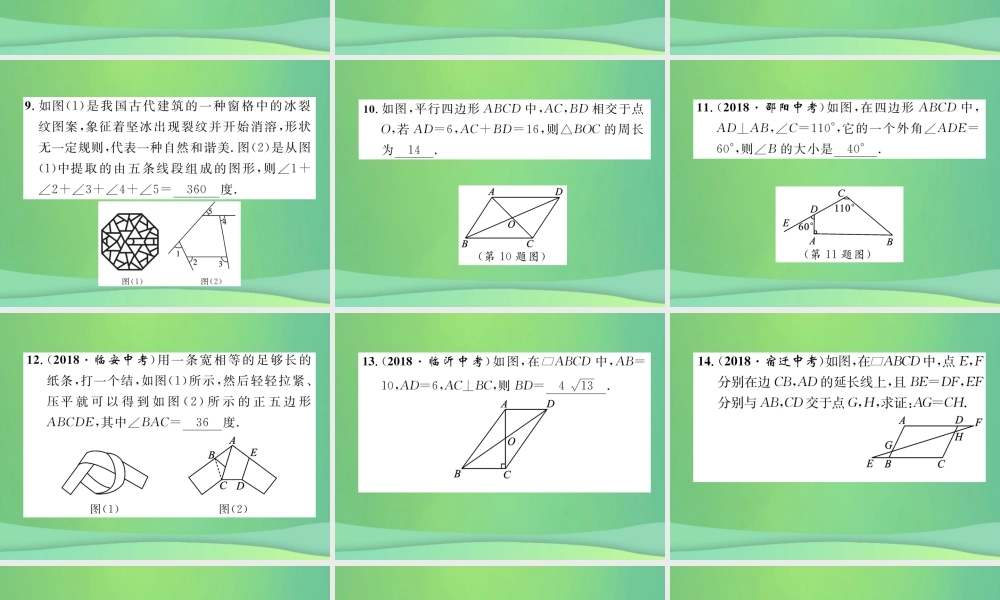 中考数学复习 第4章 图形的性质 第17课时 多边形与平行四边形(精练)课件