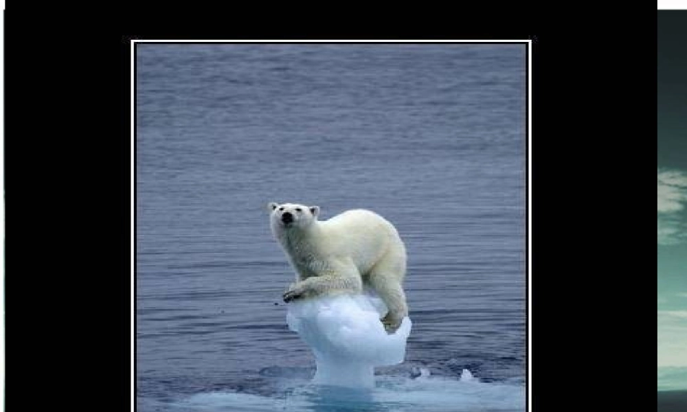 全球气候变化对人类活动的影响