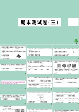 史上册 期末测试卷(三)作业课件 新人教版 课件
