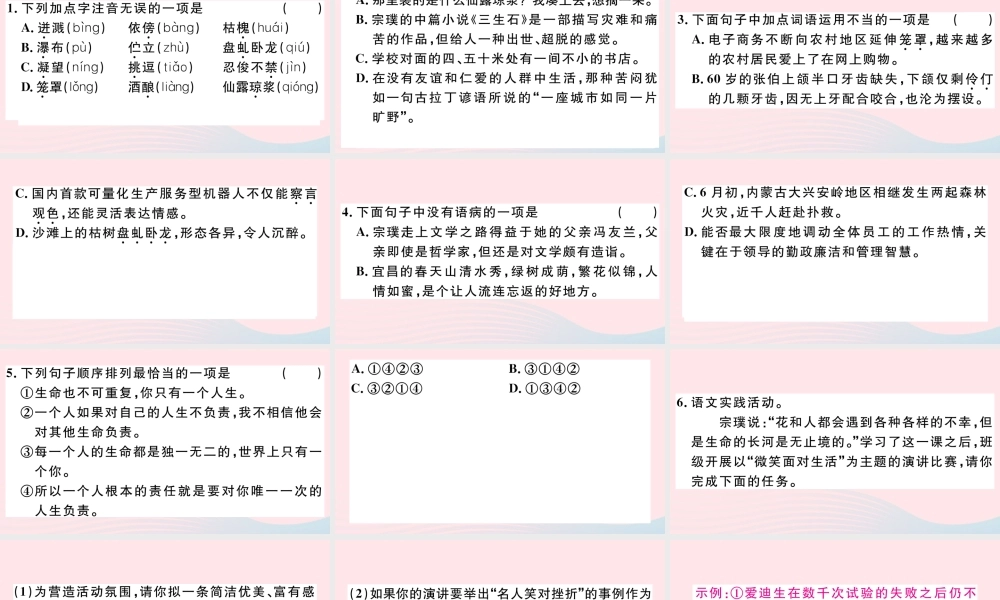 文下册 第五单元 17 紫藤萝瀑布习题课件 新人教版 课件