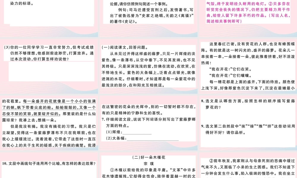 文下册 第五单元 17 紫藤萝瀑布习题课件 新人教版 课件