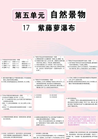 文下册 第五单元 17 紫藤萝瀑布习题课件 新人教版 课件
