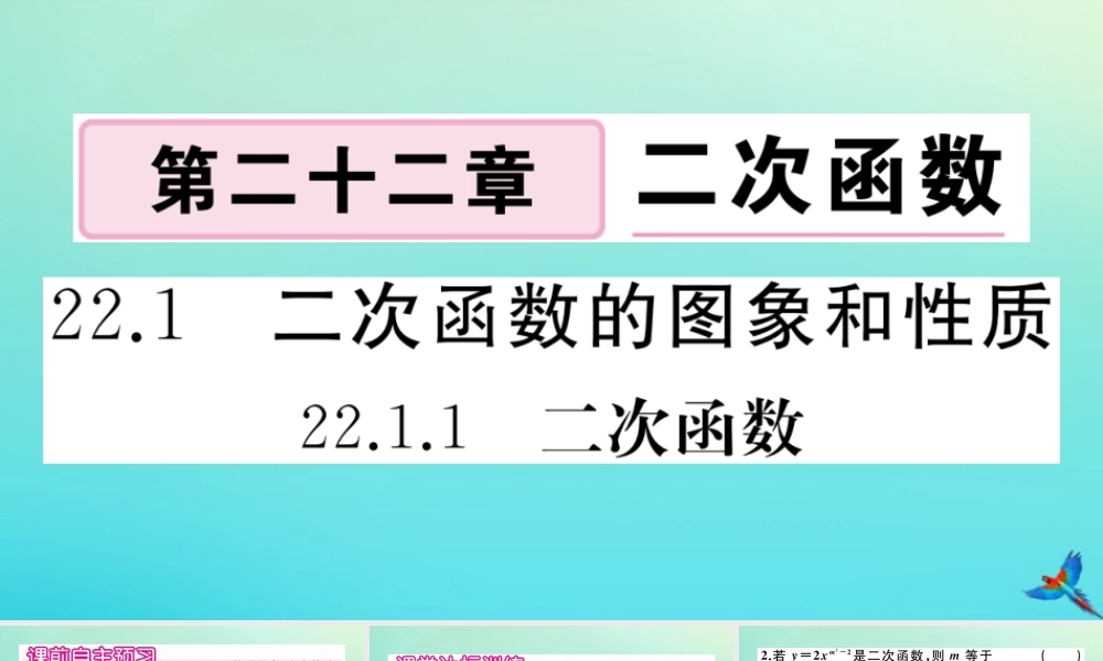 九年级数学上册 第22章 二次函数 2211 二次函数作业课件 (新版)新人教版 课件