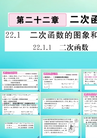 九年级数学上册 第22章 二次函数 2211 二次函数作业课件 (新版)新人教版 课件