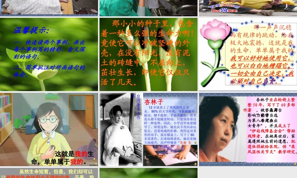 人教版小学四年级下册语文生命生命课件_2