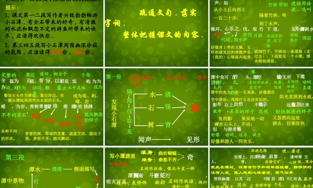 八年级语文上册 16 小石潭记课件4 苏教版 课件