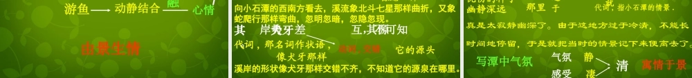 八年级语文上册 16 小石潭记课件4 苏教版 课件