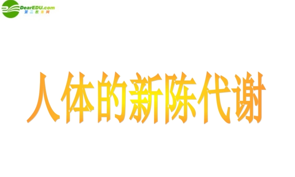 九年级科学上册 第4章 代谢与平衡复习课件 浙教版 课件