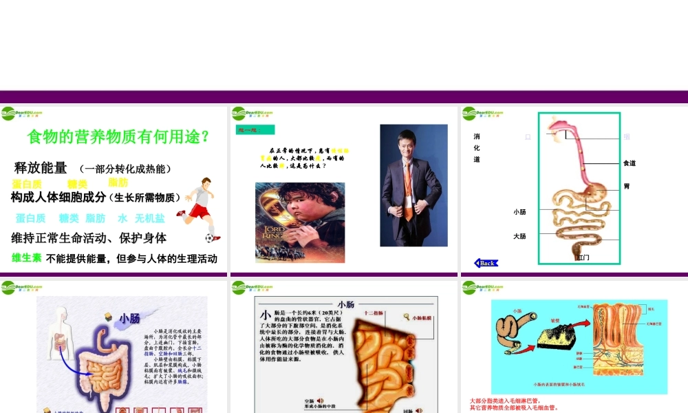 九年级科学上册 第4章 代谢与平衡复习课件 浙教版 课件