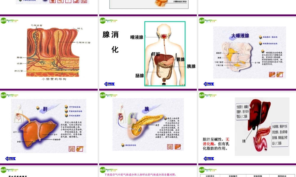 九年级科学上册 第4章 代谢与平衡复习课件 浙教版 课件