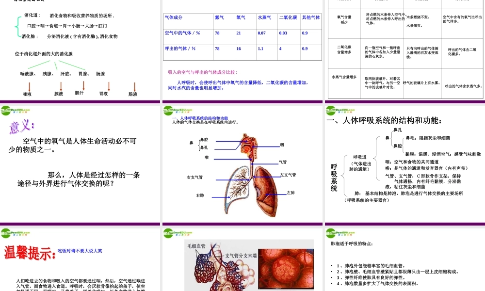 九年级科学上册 第4章 代谢与平衡复习课件 浙教版 课件