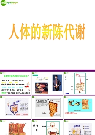 九年级科学上册 第4章 代谢与平衡复习课件 浙教版 课件