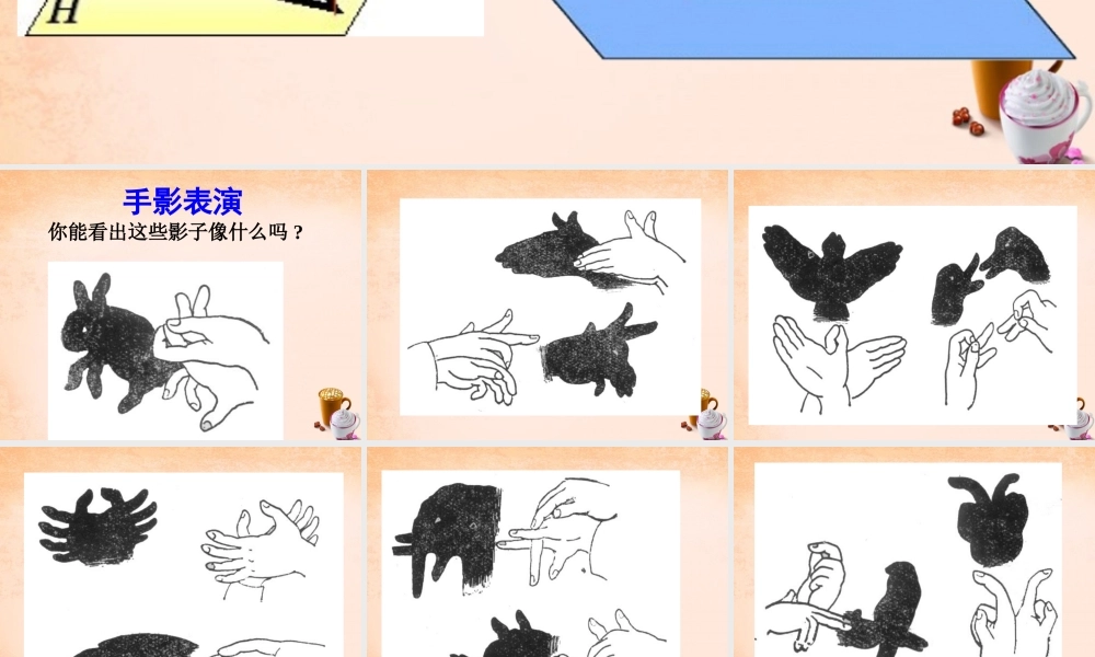 九年级数学下册 321 投影课件 (新版)冀教版 课件