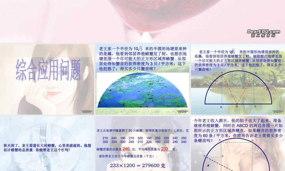 初三数学总复习综合应用问题 试题