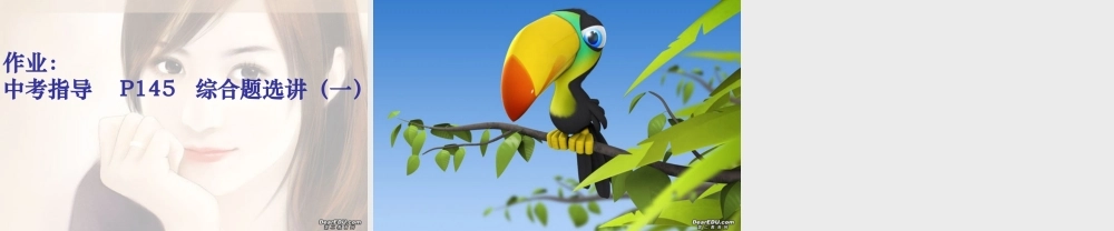 初三数学总复习综合应用问题 试题