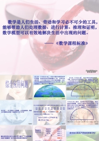 初三数学总复习综合应用问题 试题