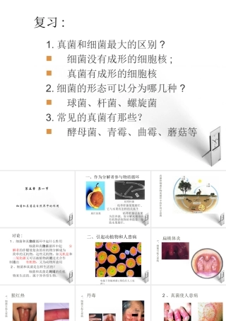 八年级生物上册 5.5.1细菌和真菌在自然界中的作用课件 人教新课标版 课件