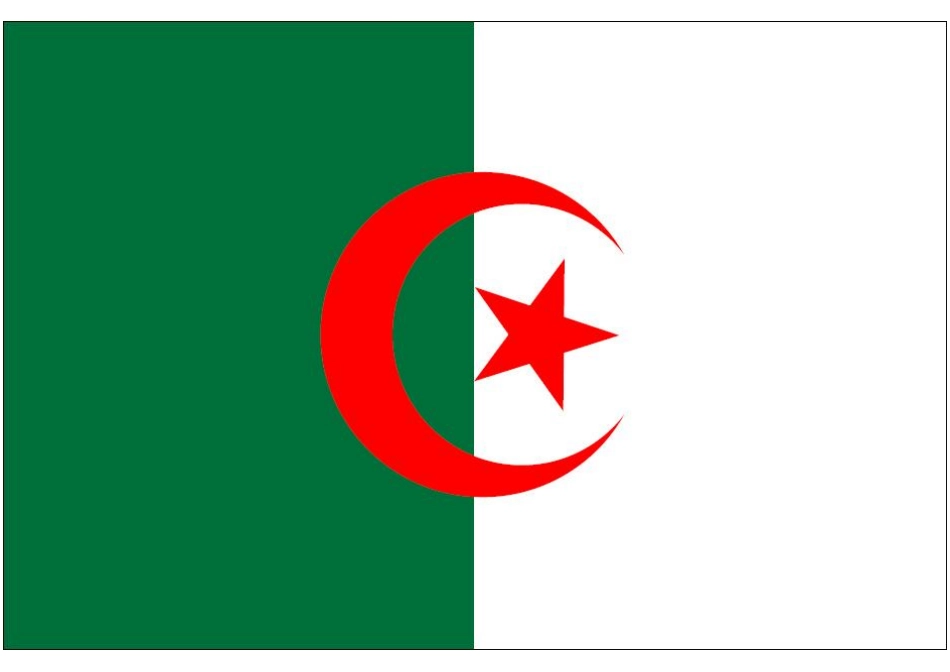 世界杯纸模：助威国旗(C3-阿尔及利亚)_第1页