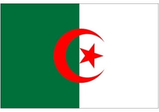 世界杯纸模：助威国旗(C3-阿尔及利亚)