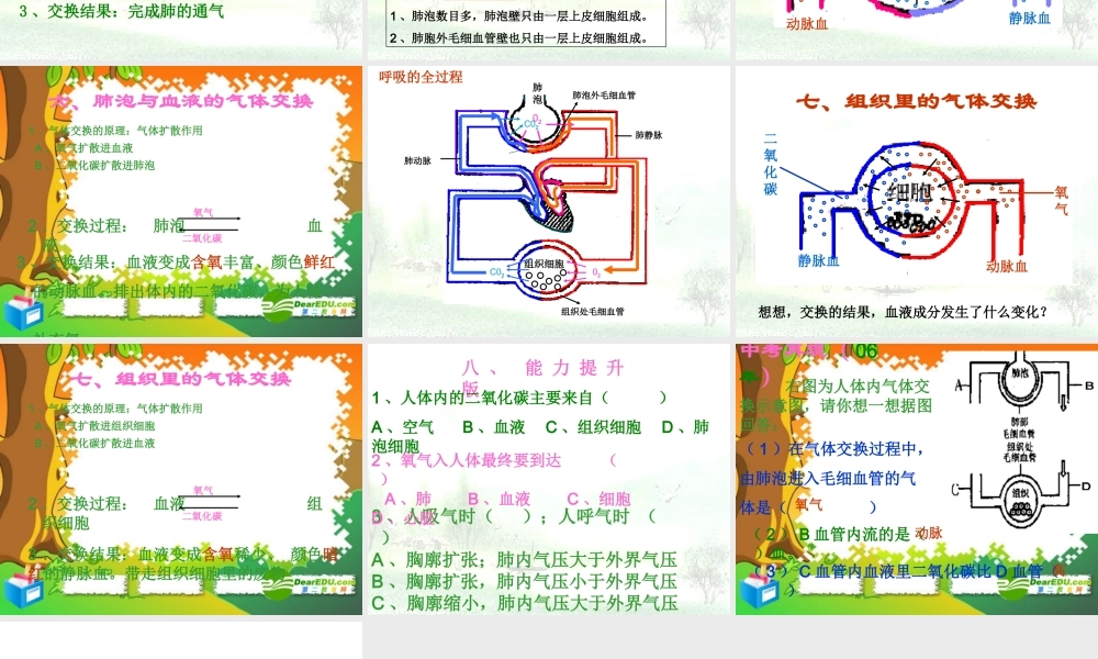 七年级生物下册：第四单元第三章第二节发生在肺内的气体交换6课件 人教版 课件