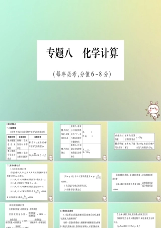 中考化学准点备考复习 第二部分 题型专题突破 专题8 化学计算课件 新人教版 课件