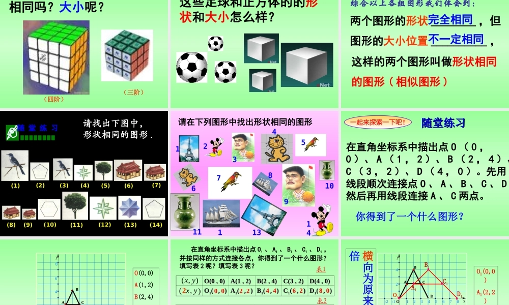 八年级数学生活中形状相同的图形课件北师大版 课件