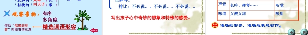 从百菜园到三味书屋
