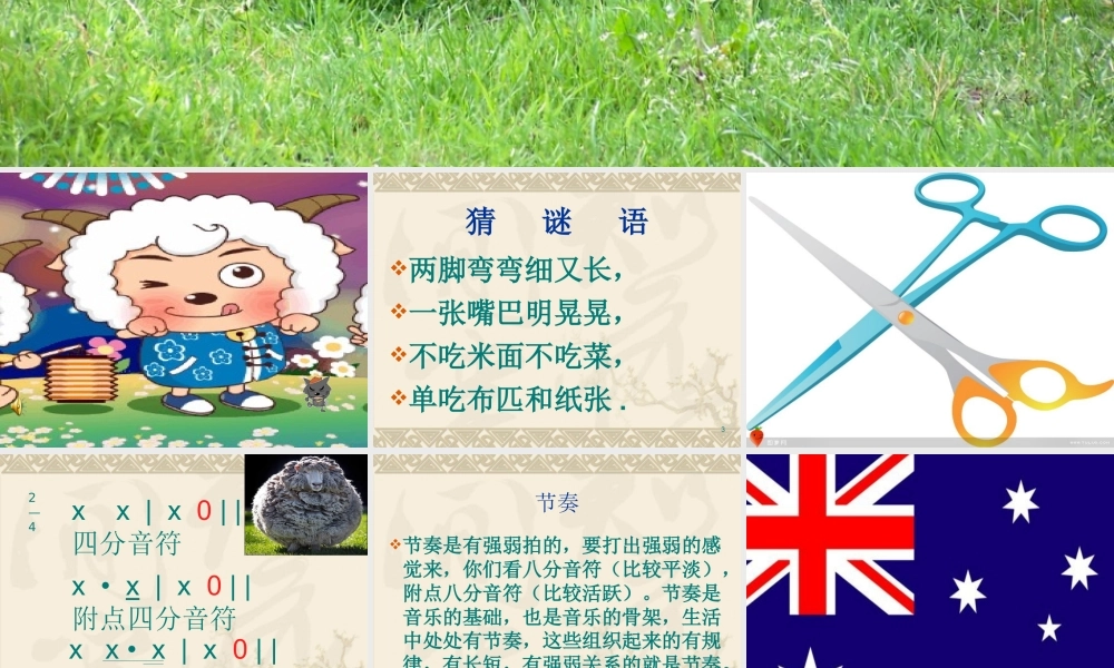 《剪羊毛》课件