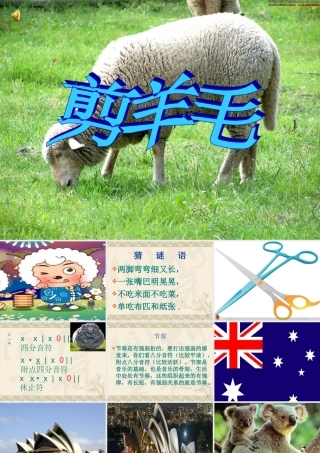 《剪羊毛》课件