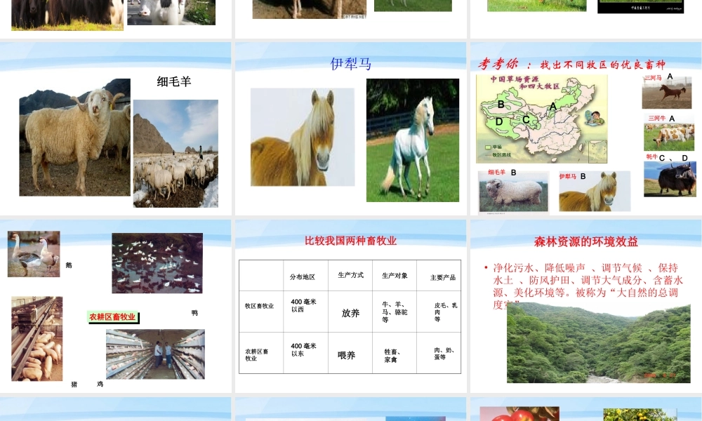 八年级地理上册 第四单元第一课农业的分布教学课件 商务星球版 课件