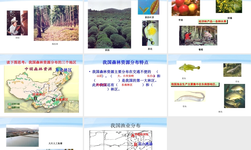 八年级地理上册 第四单元第一课农业的分布教学课件 商务星球版 课件