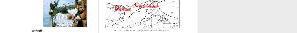 八年级地理上册 第四单元第一课农业的分布教学课件 商务星球版 课件
