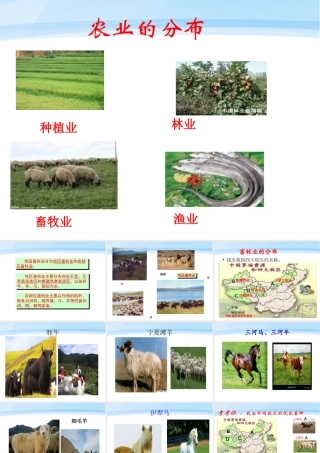 八年级地理上册 第四单元第一课农业的分布教学课件 商务星球版 课件