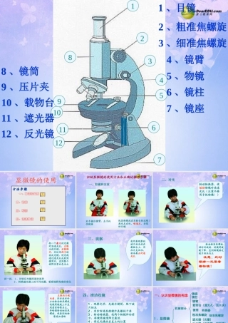 中学七年级生物上册 显微镜的使用课件 新人教版