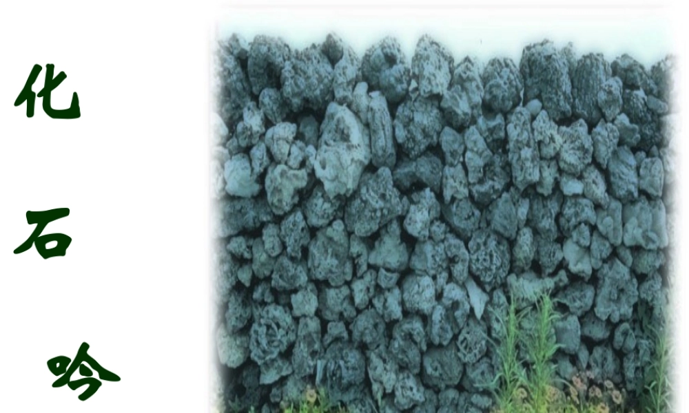 七年级语文化石吟课件 新课标 人教版 课件