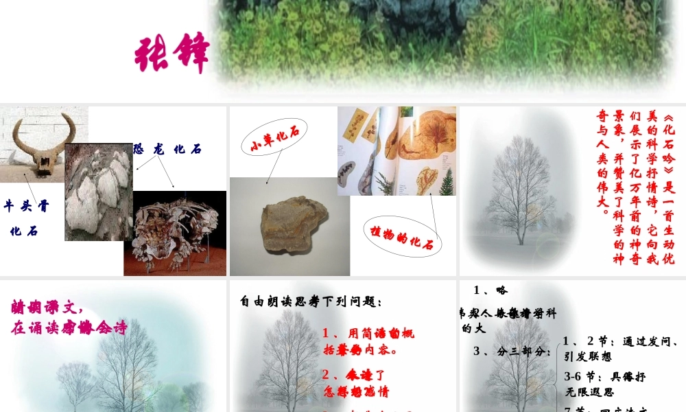 七年级语文化石吟课件 新课标 人教版 课件