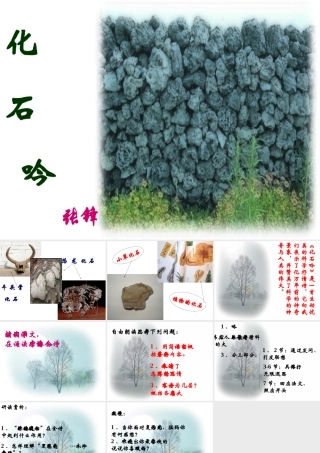 七年级语文化石吟课件 新课标 人教版 课件