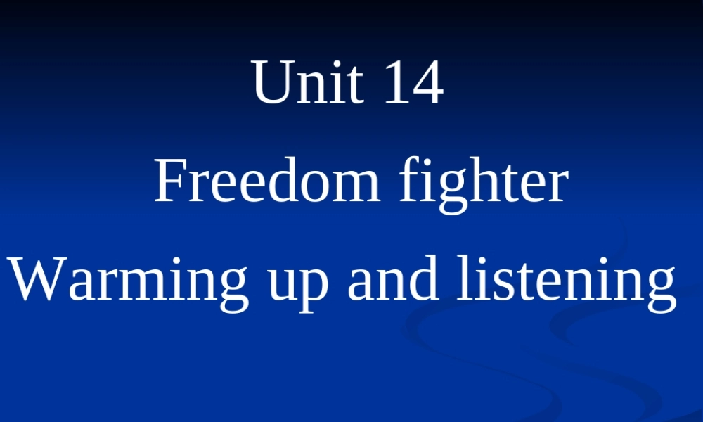人教版高二英语UNIT 14 FREEDOM FIGHTERS 课件