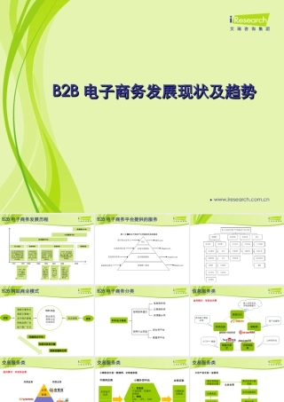 2010.06艾瑞研究：B2B电子商务发展现状及趋势