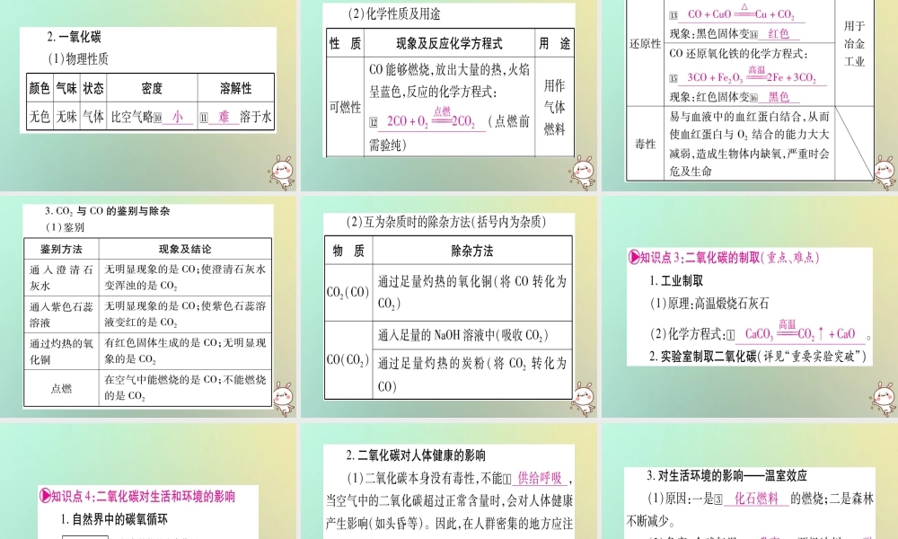 中考化学准点备考复习 第一部分 教材系统复习 第6讲 碳和碳的氧化物课件 新人教版 课件