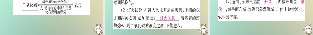 中考化学准点备考复习 第一部分 教材系统复习 第6讲 碳和碳的氧化物课件 新人教版 课件