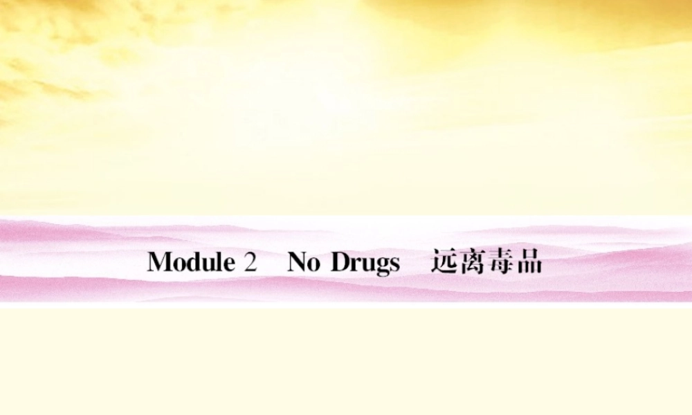 山东省高考英语总复习 Module 2　No Drugs课件 外研版必修2 课件
