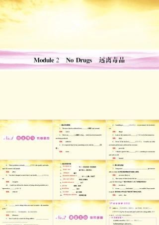 山东省高考英语总复习 Module 2　No Drugs课件 外研版必修2 课件