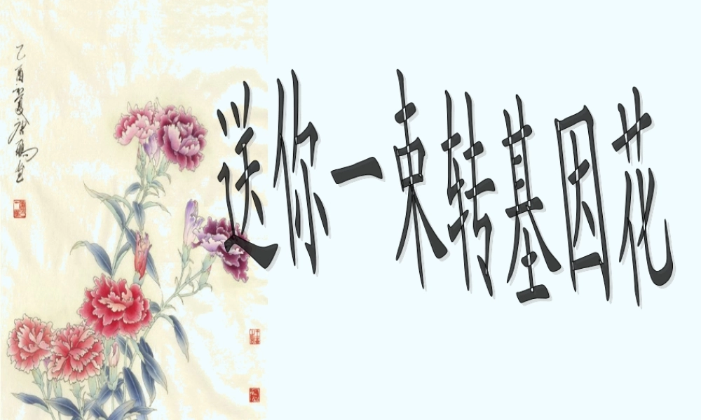 八年级语文上册 第29课(送你一束转基因花)课件 苏教版 课件