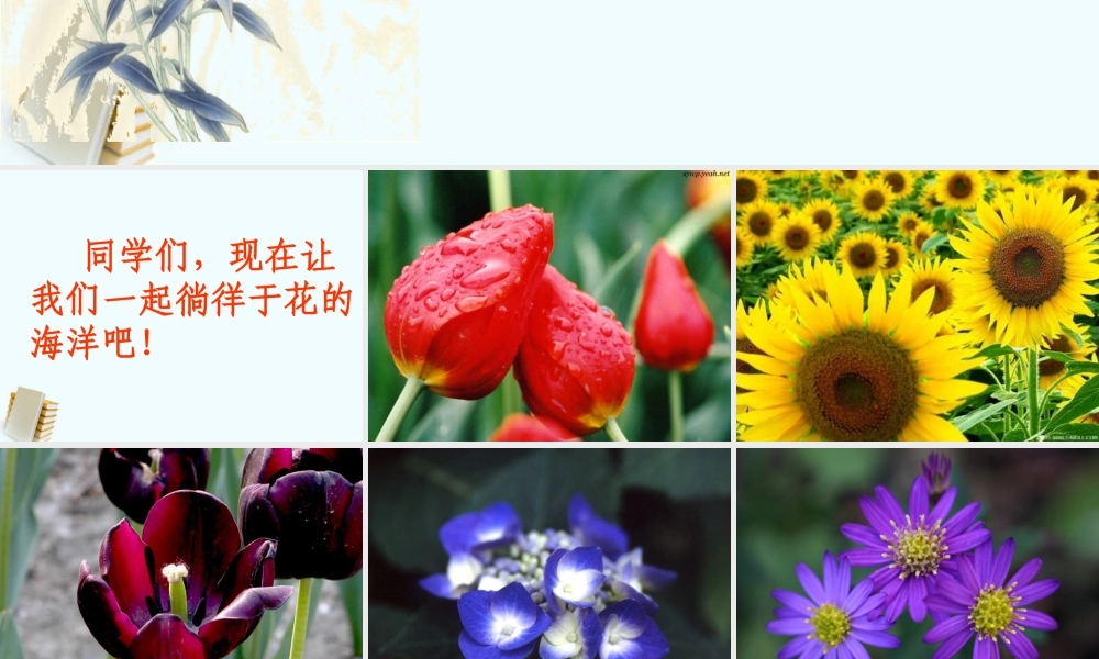 八年级语文上册 第29课(送你一束转基因花)课件 苏教版 课件