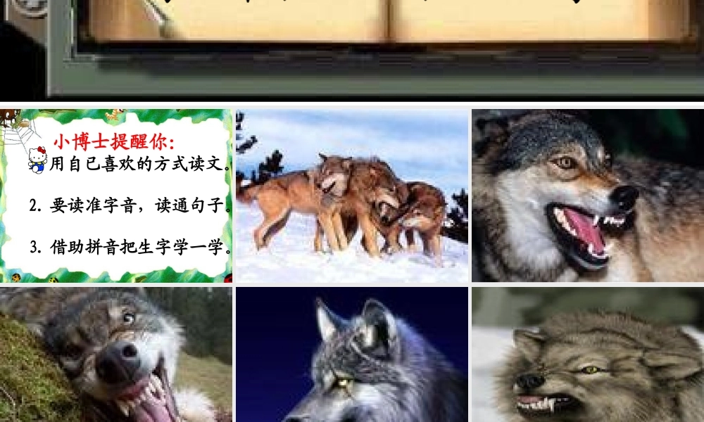 向狼借路恒山小学穆丽君