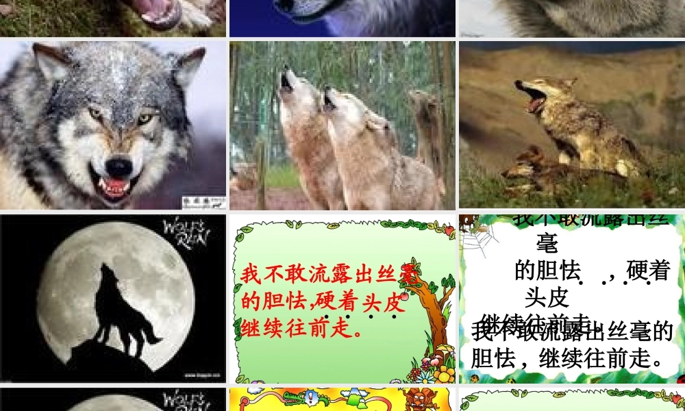 向狼借路恒山小学穆丽君