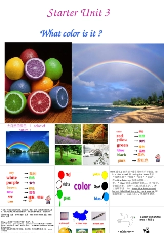七年级英语What_color_is_it课件1
