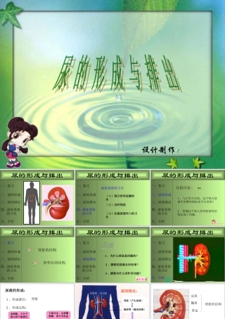 尿的形成和分泌 课件